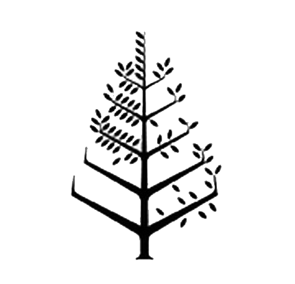 华盛顿特区四季酒店 Logo